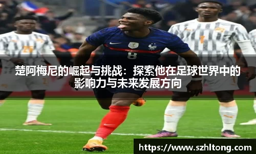 ng体育官方网站