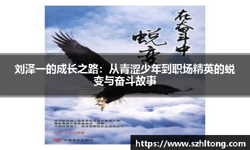 ng体育官网